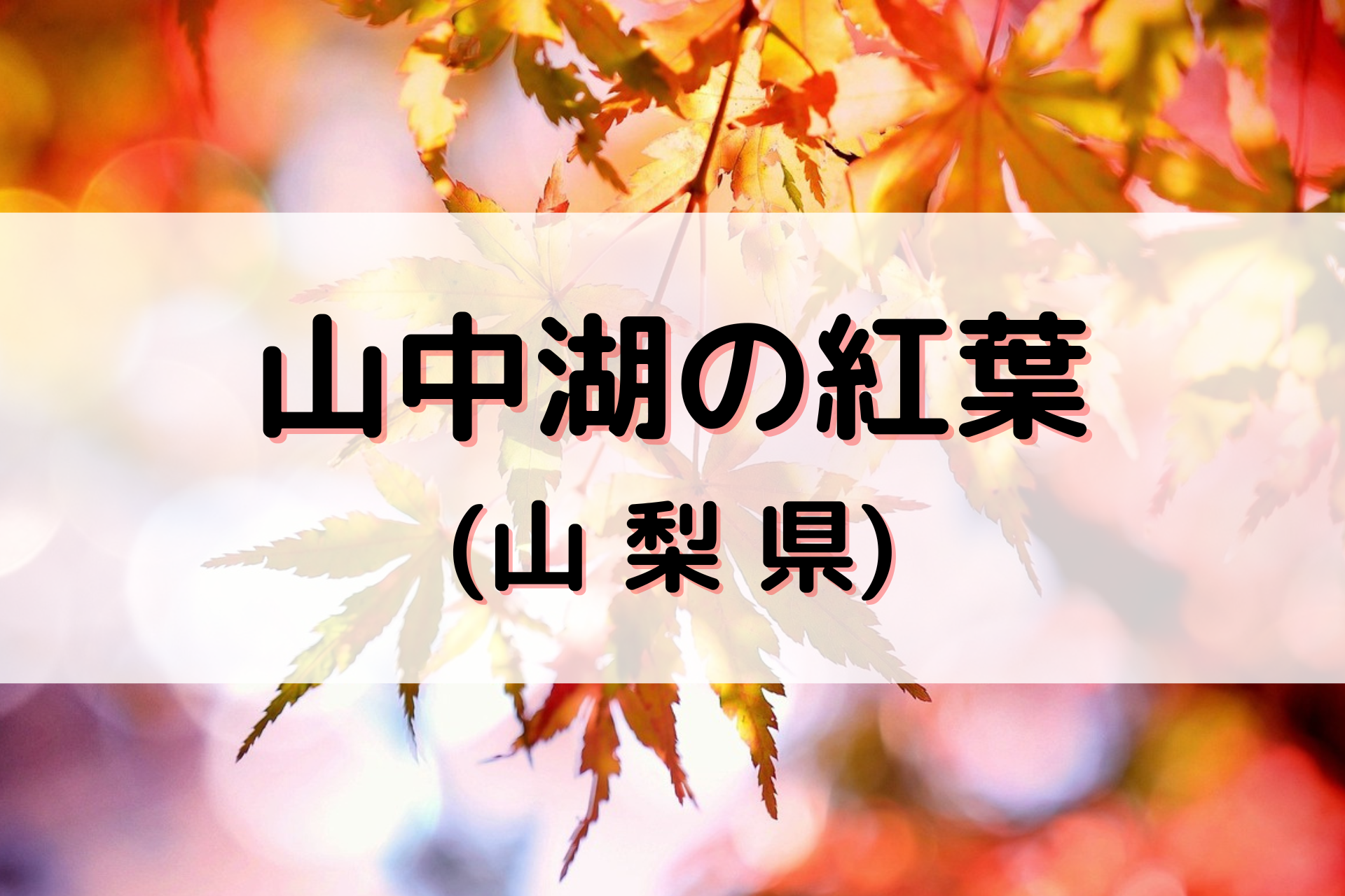 山中湖の紅葉