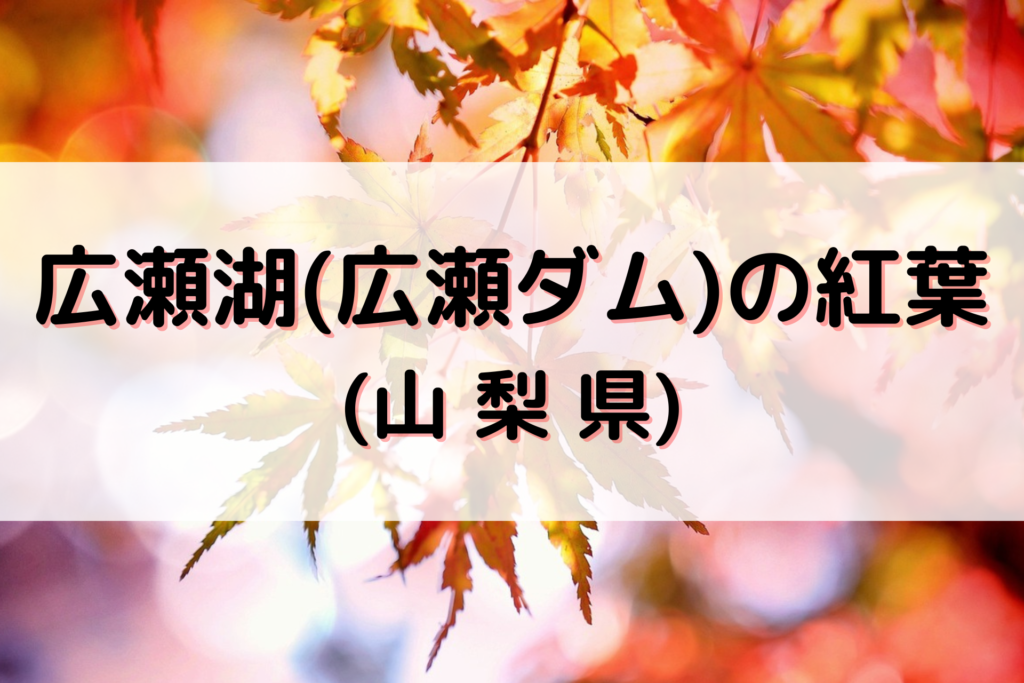 広瀬湖(広瀬ダム)の紅葉