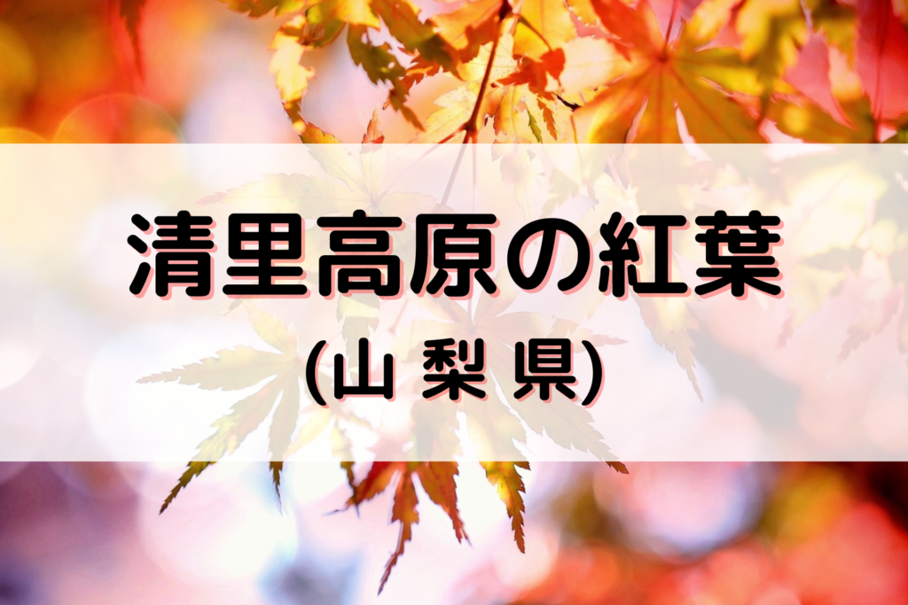 清里高原の紅葉