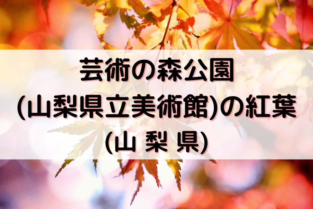 芸術の森公園 (山梨県立美術館)の紅葉