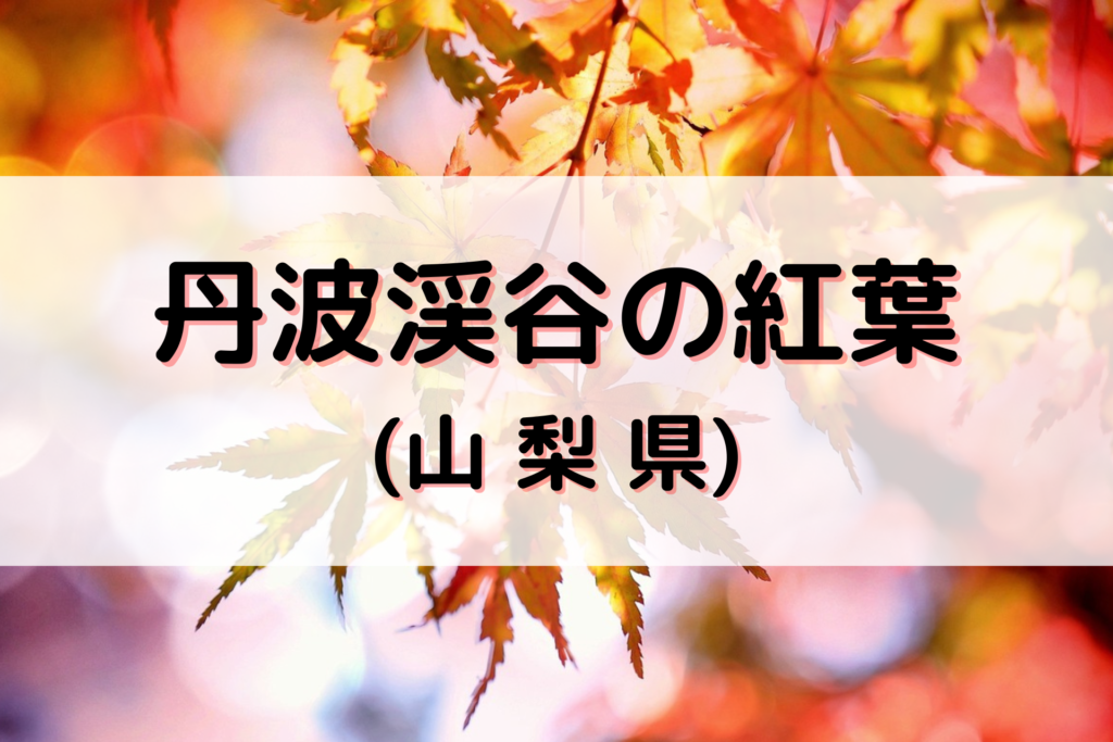 丹波渓谷の紅葉