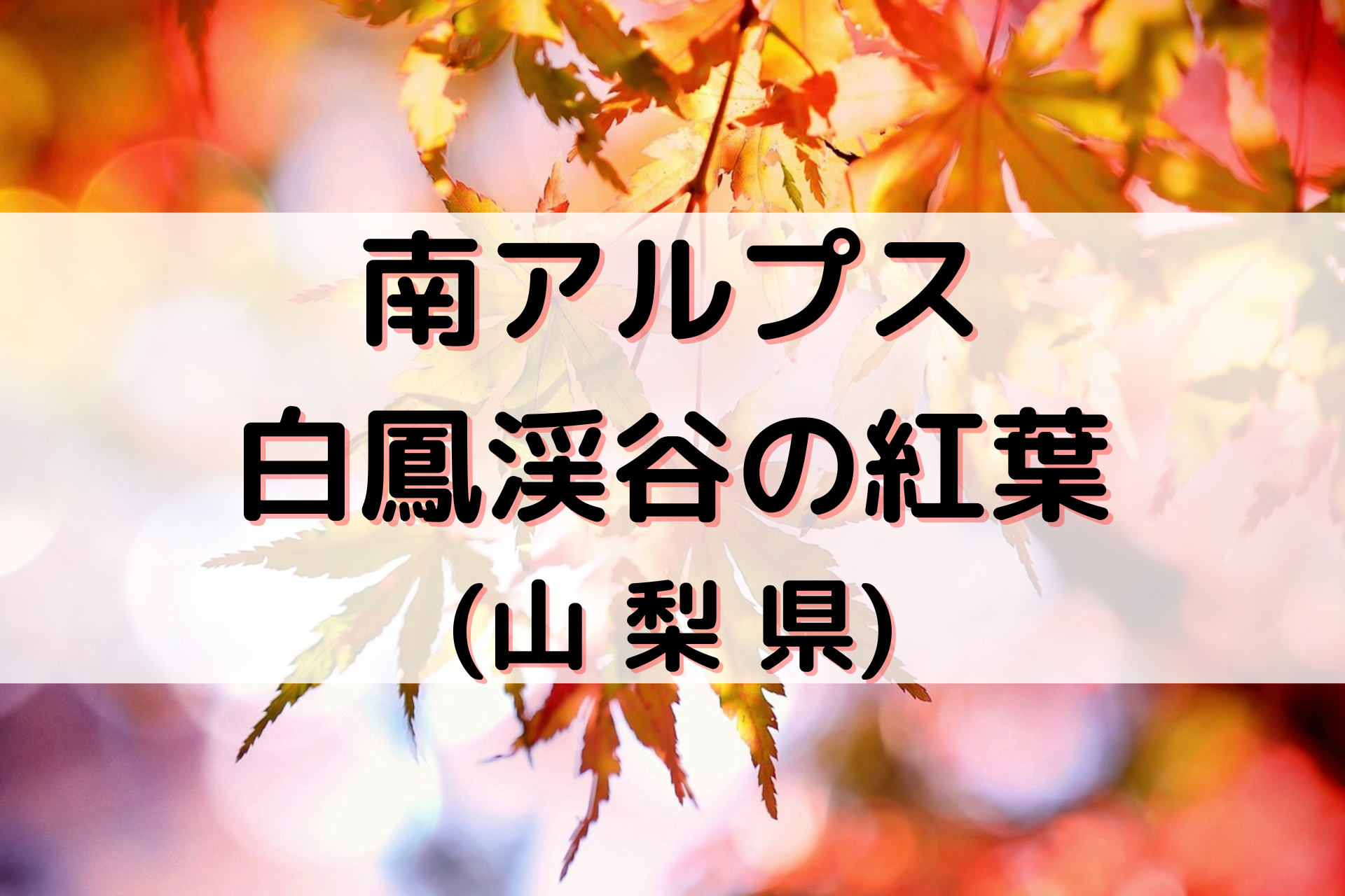 南アルプス白鳳渓谷の紅葉