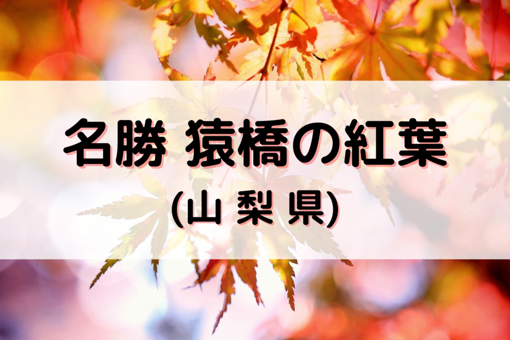 名勝 猿橋の紅葉