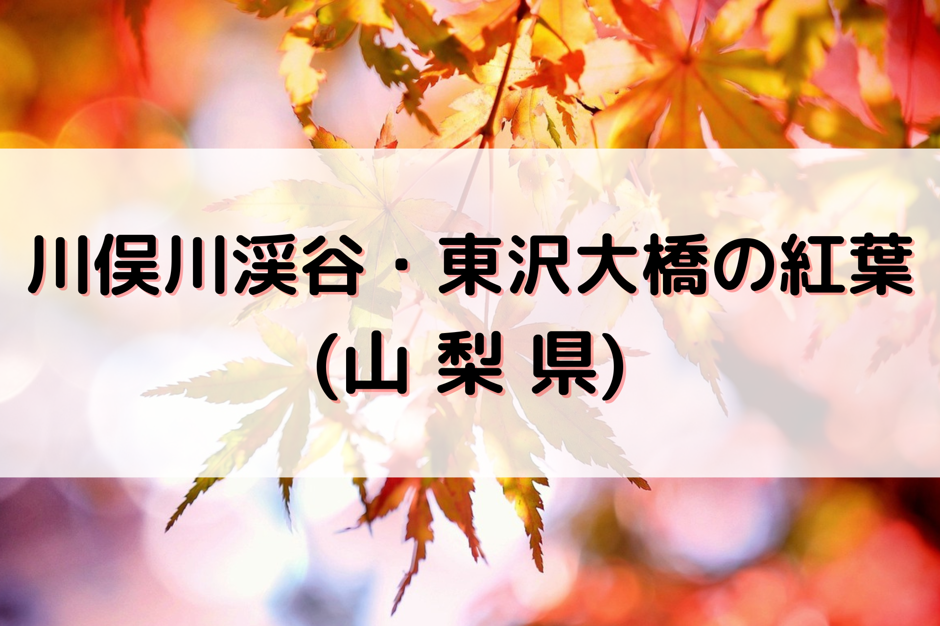 川俣川渓谷・東沢大橋の紅葉