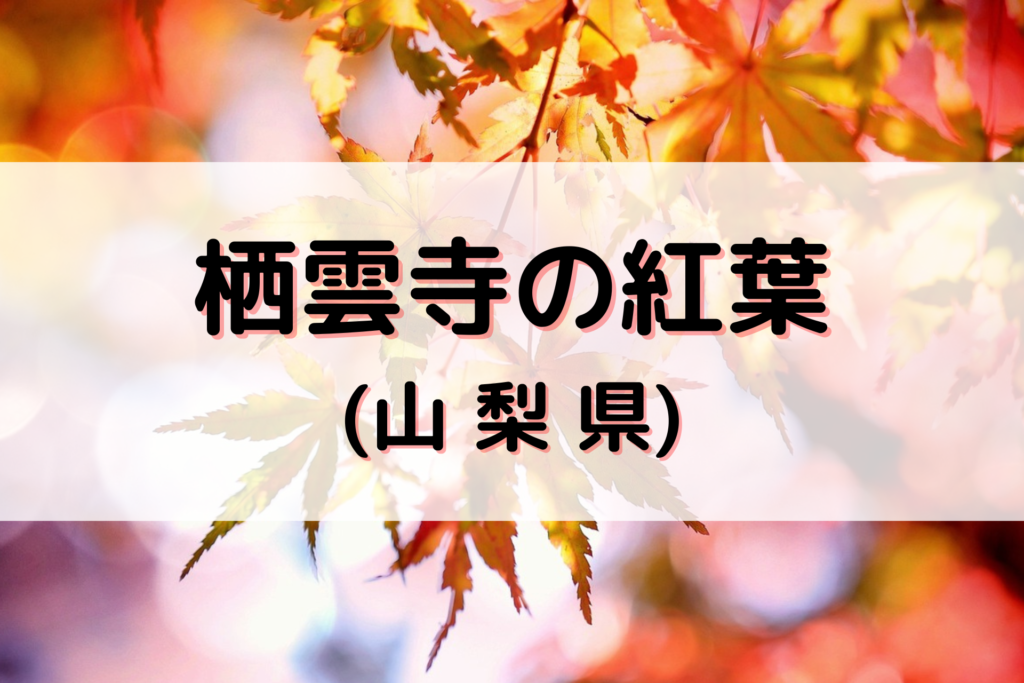 栖雲寺の紅葉