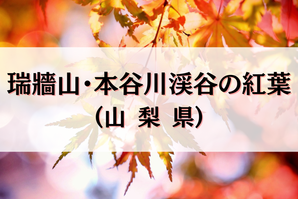 瑞牆山・本谷川渓谷の紅葉