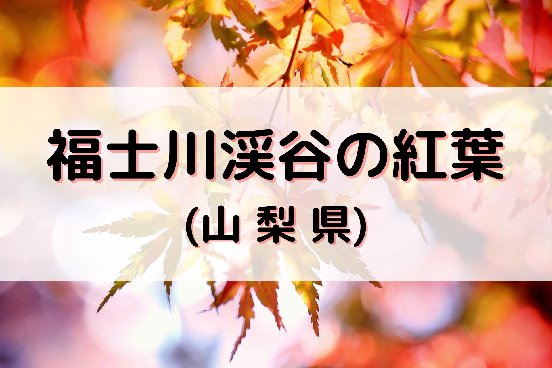 福士川渓谷の紅葉