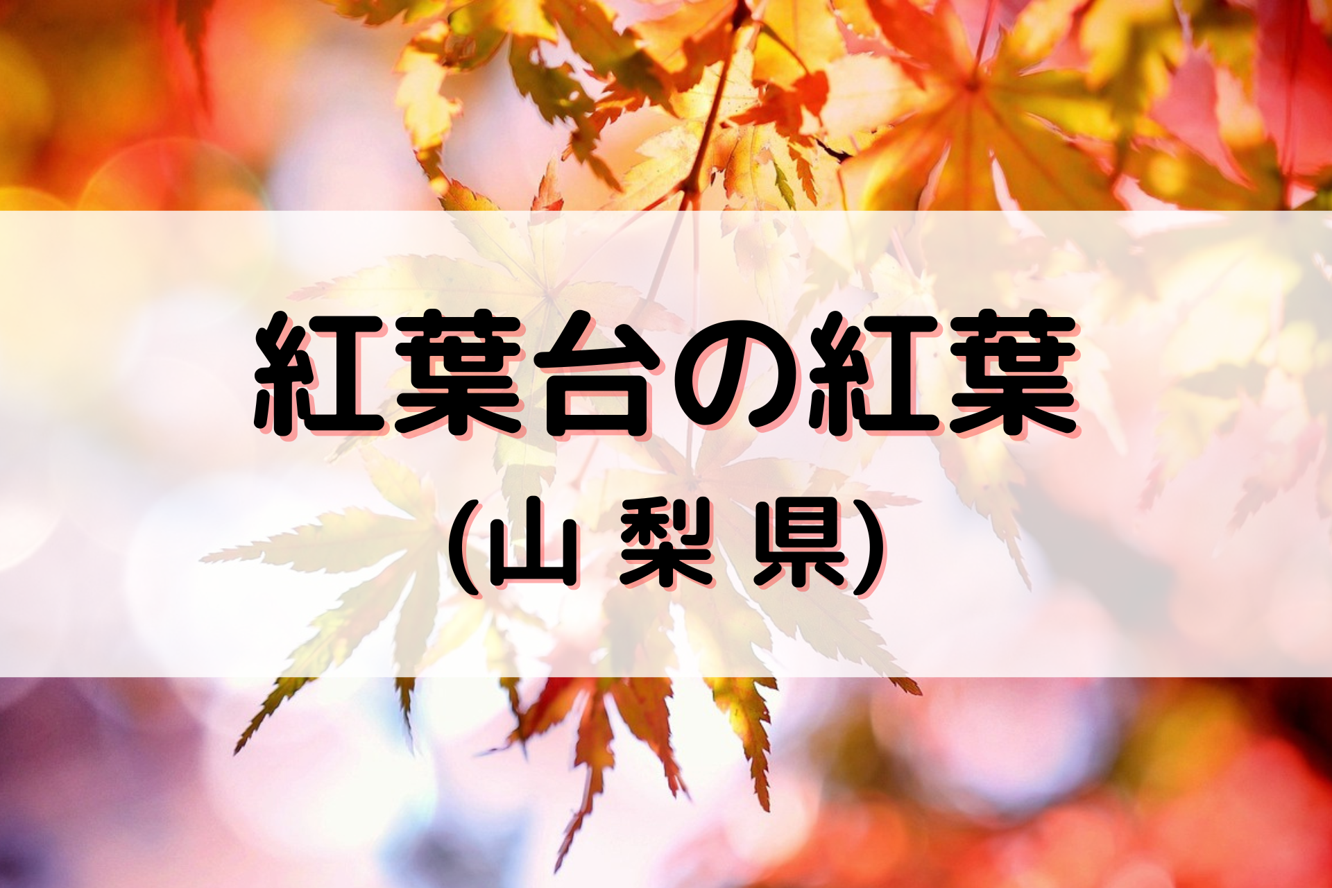 紅葉台の紅葉