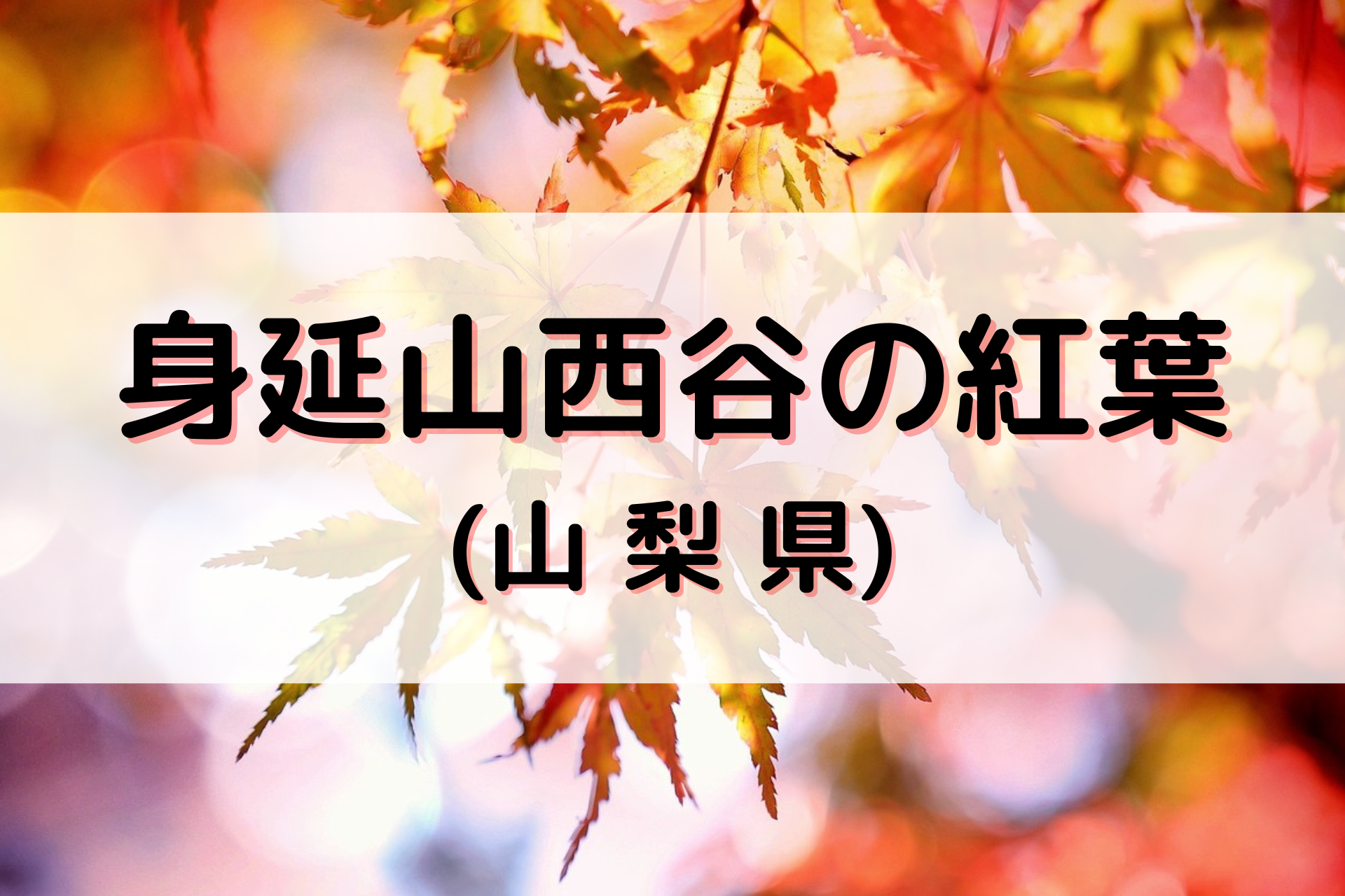 身延山西谷の紅葉