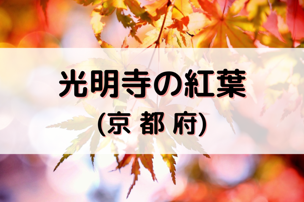 光明寺の紅葉