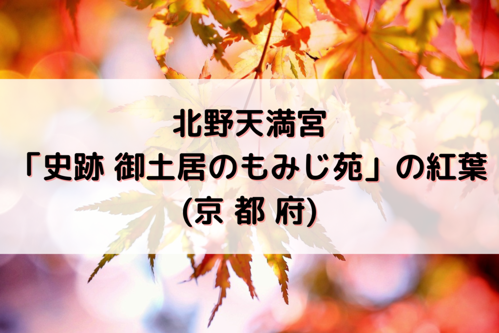 北野天満宮「史跡 御土居のもみじ苑」の紅葉