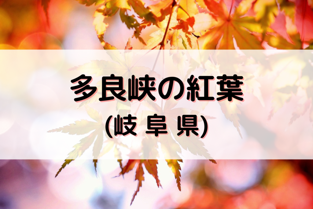 多良峡の紅葉