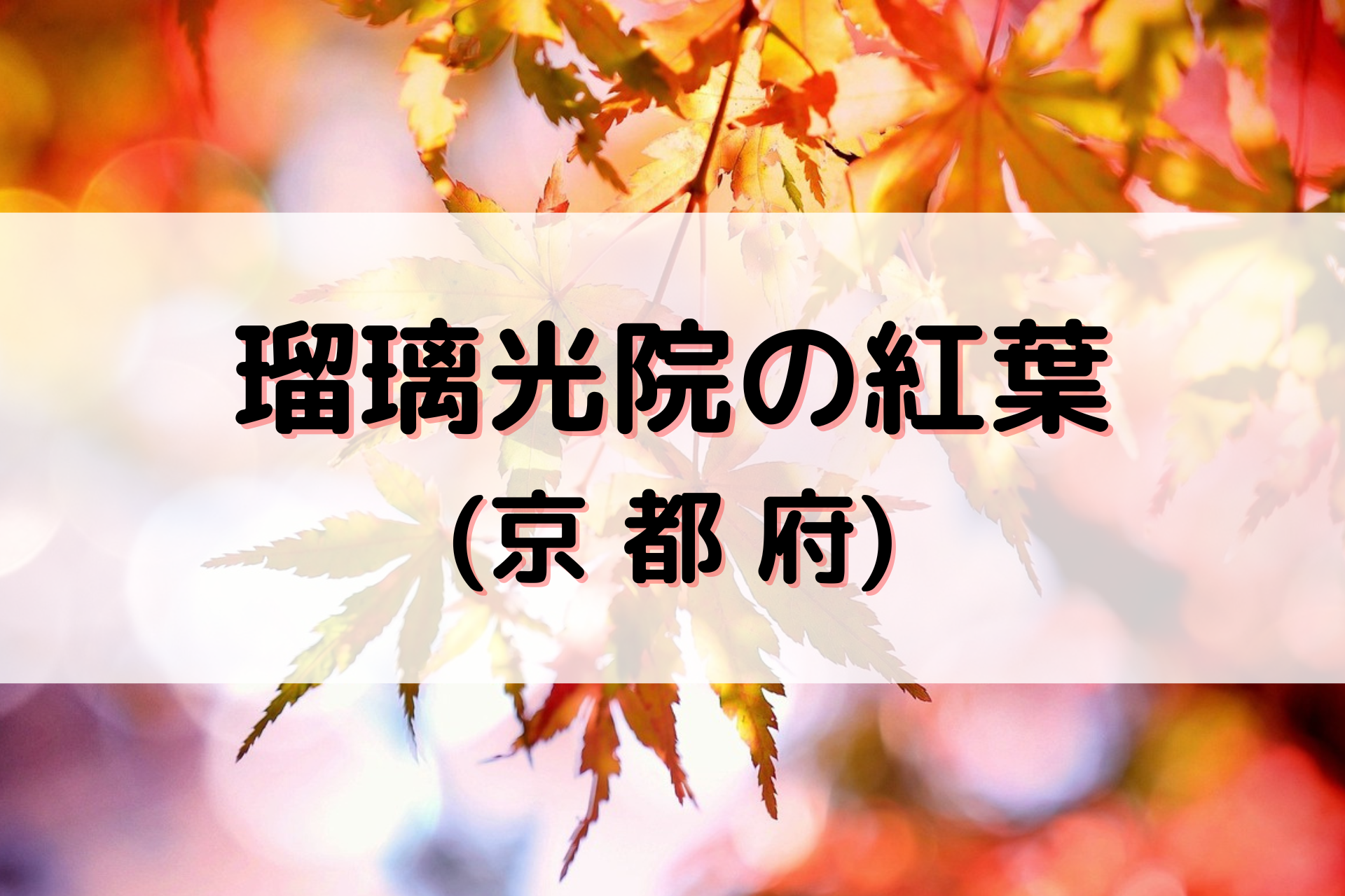 瑠璃光院の紅葉