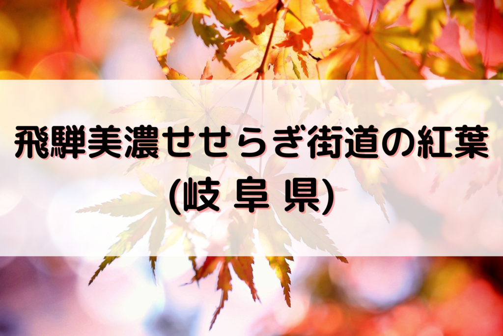 飛騨美濃せせらぎ街道の紅葉