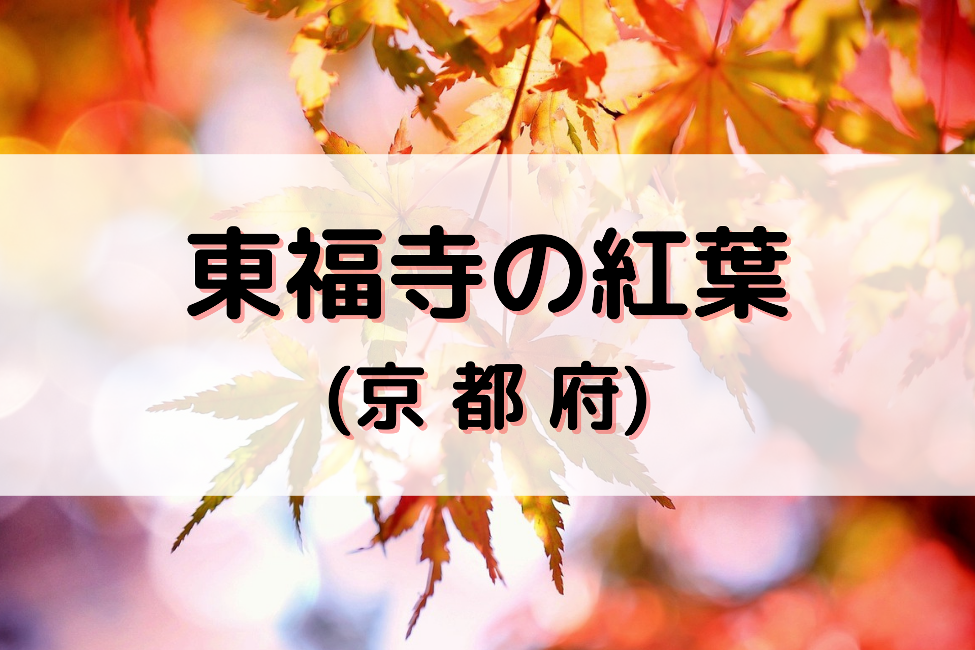 東福寺の紅葉