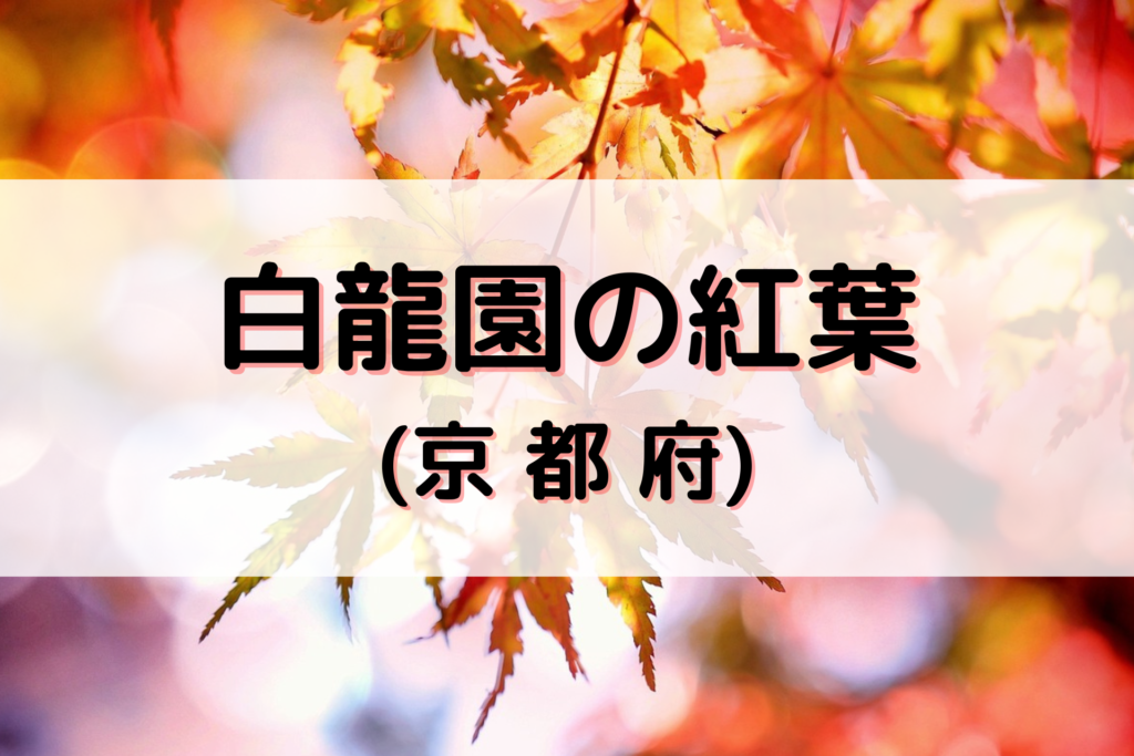 白龍園の紅葉