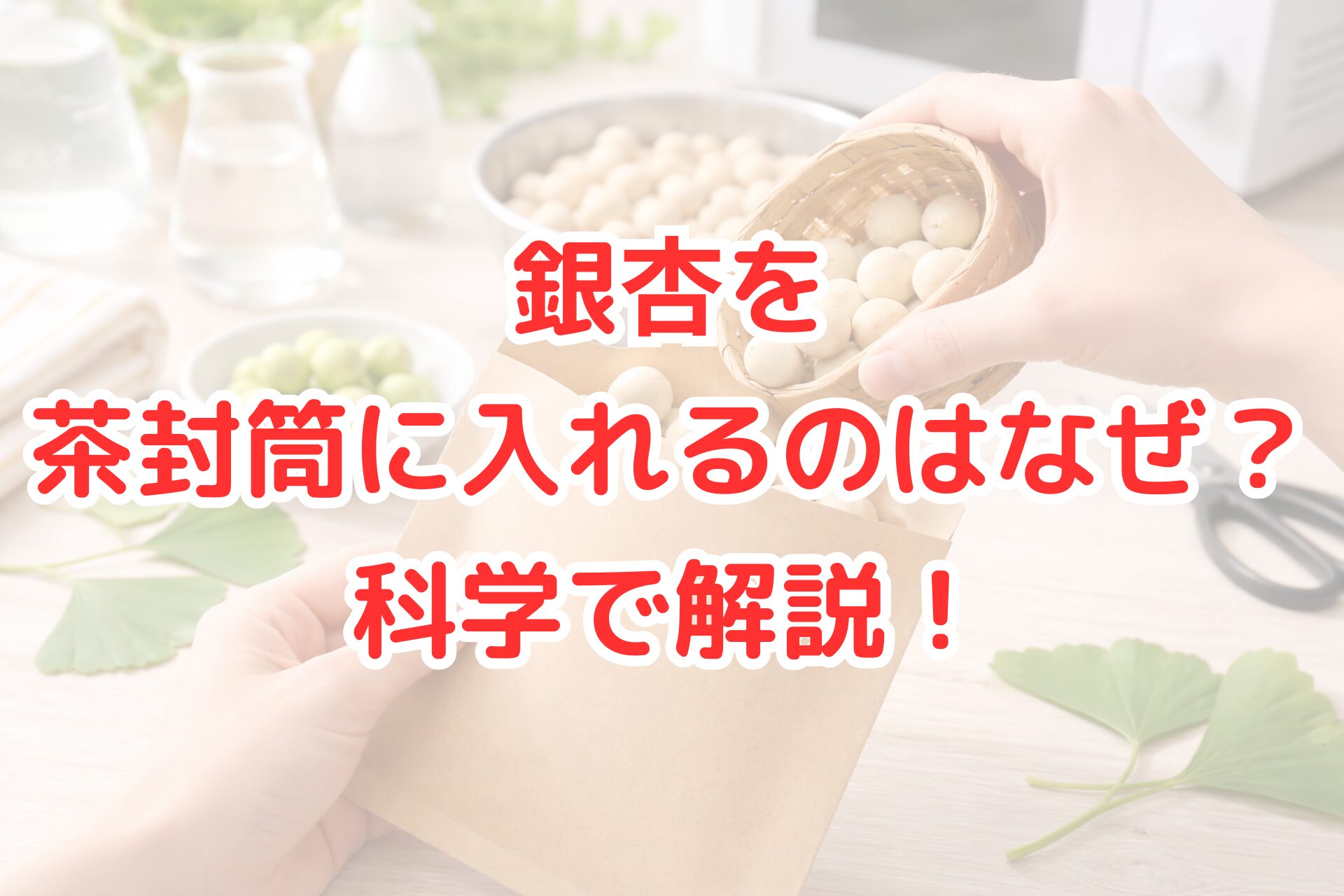 明るいキッチンのテーブルで、手にした小さなかごから殻付きの銀杏を茶色い封筒に入れている様子と、周囲にボウルや銀杏の葉が並ぶ、清潔感のある調理準備シーンの写真風イメージ。