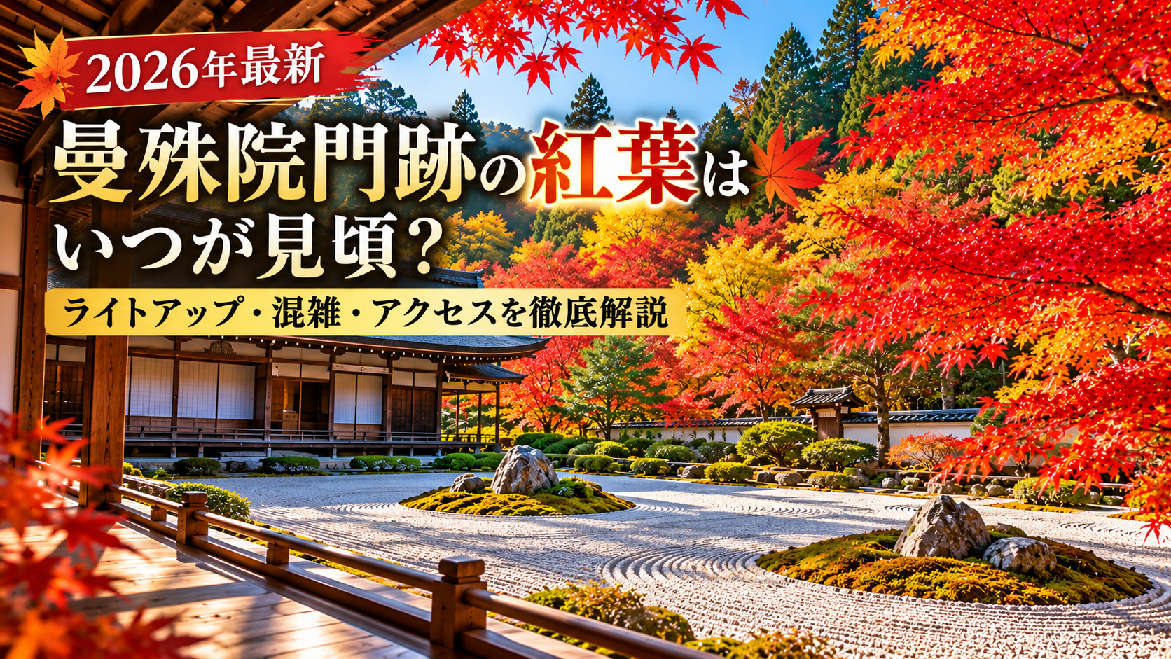 2026年最新・京都の曼殊院門跡の紅葉の見頃を紹介するアイキャッチ画像。赤や黄色に色づいたモミジと枯山水庭園を背景に、ライトアップ・混雑・アクセス情報を案内。