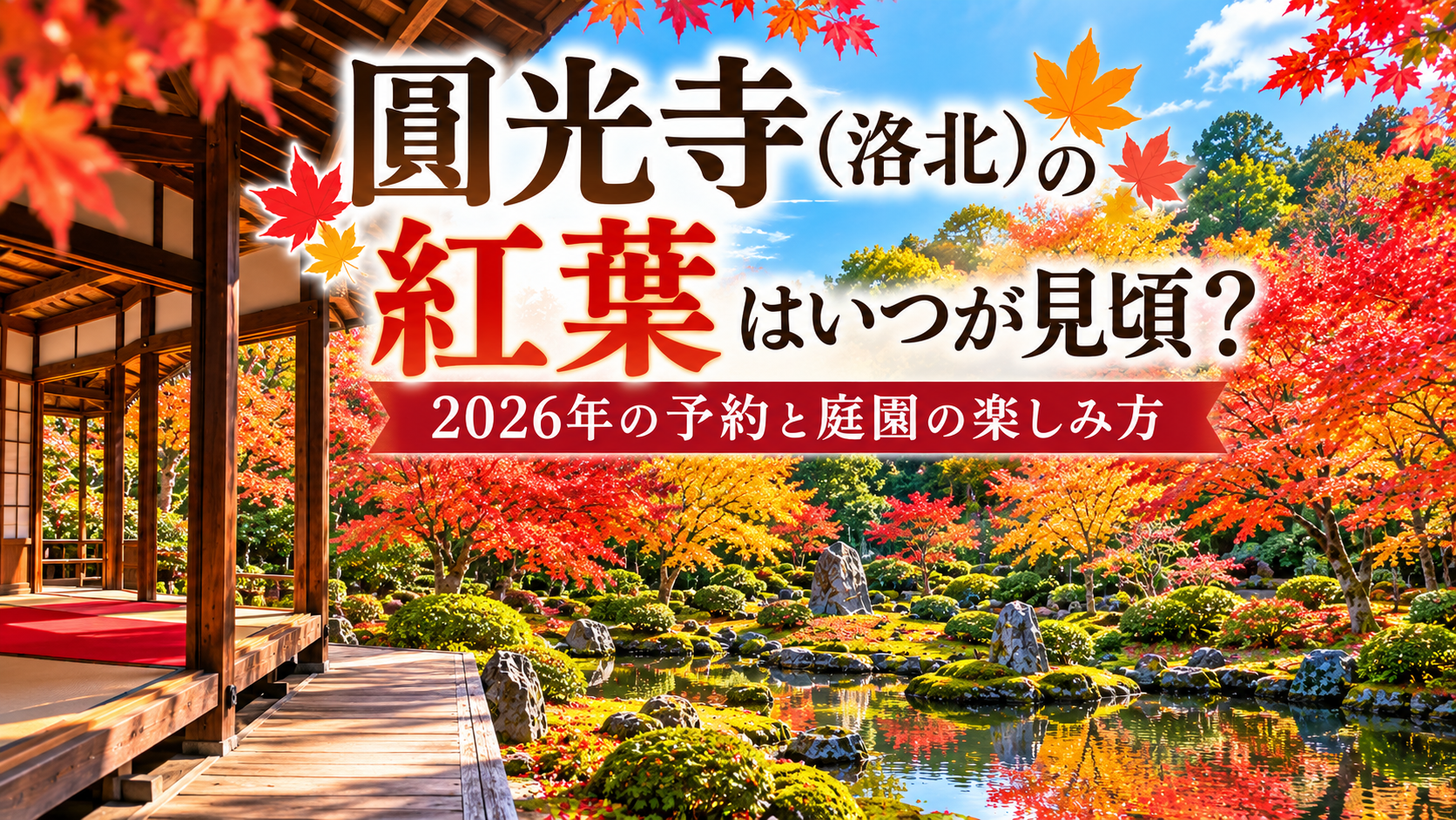 京都・洛北の圓光寺の紅葉を描いたアイキャッチ画像。色鮮やかなモミジと庭園を背景に「紅葉はいつが見頃？2026年の予約と庭園の楽しみ方」と表示されている。
